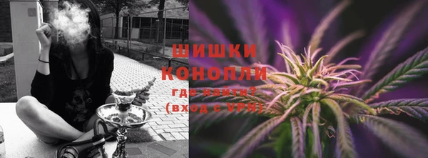 СК Вязьма