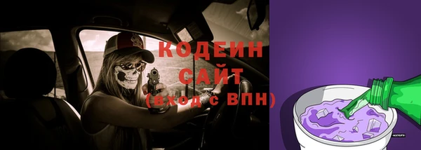 СК Вязьма