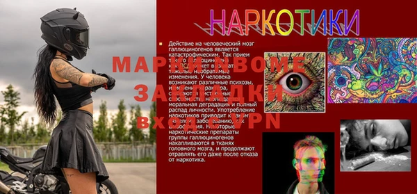 СК Вязьма