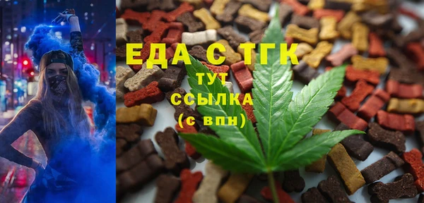 СК Вязьма