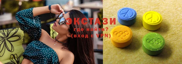 СК Вязьма