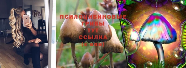 СК Вязьма