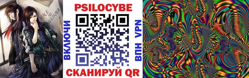Псилоцибиновые грибы Psilocybe  Сочи 